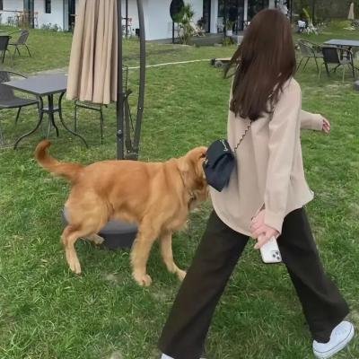 一代情侣